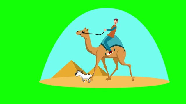 tourist on a camel with dog on pyramids in the egypt 2d animation cartoon