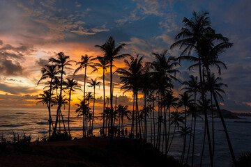 Beautiful sunset on the Indian Ocean coast on the island of Sri Lanka, Mirissa.