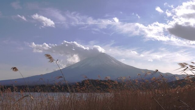 Beautiful view of Mount Fuji and field at Lake Kawaguchi in autumn, This mountain is an famous symbolic of Japan.