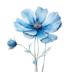 Blooming Watercolor: Isolated Cyan Blue Flower on Transparent White Background.