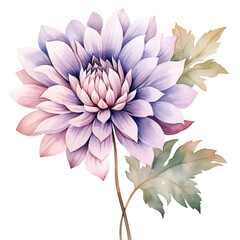 Blooming Watercolor: Isolated Colorful Pastel Gradient Soft Flower on Transparent White Background.