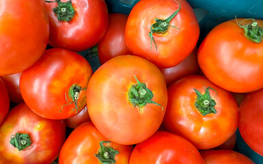 Group of tomatoes lying on a pile on top of each other, tomato texture. Selective focus, for content creation