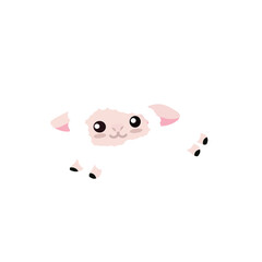 Sheep White Wool Farm Animal