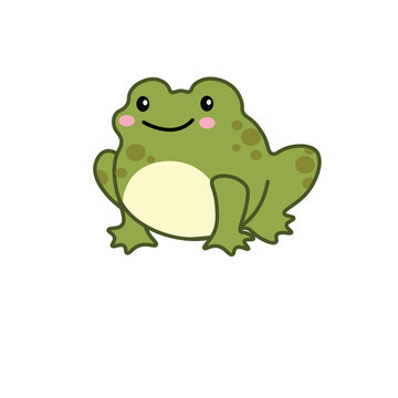 green frog, cute green frog