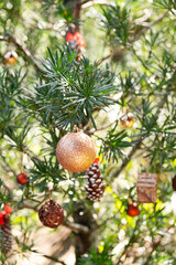 Decorated Christmas tree outside in sunlight. Festivity background.