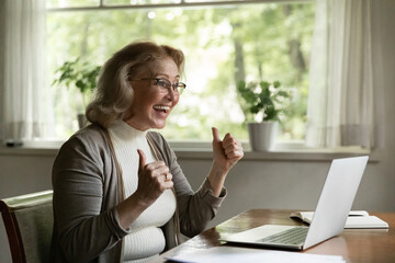 Excited with success. Overjoyed senior woman office worker look at laptop screen share good news by...