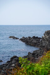 Blue sea water and green plants.
There is a black basalt in the sea.