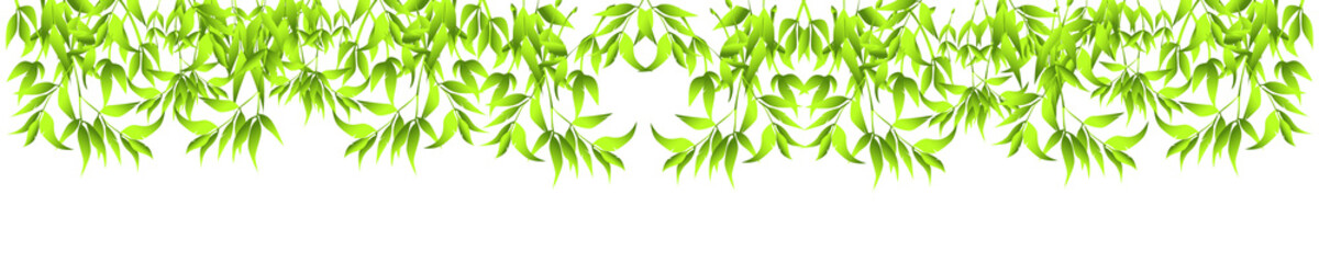green bamboo leaves on white. png graphic material banner bamboo leaves  for chinese border for header - obrazy, fototapety, plakaty