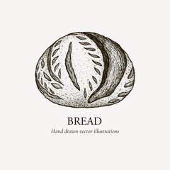 Bread hand drawn illustration. Bread sketch. Bread vintage style vector illustration for logo design, packaging, labels, menus, restaurants, coffee shops.