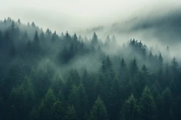 Fotobehang Enchanting Misty Forest, Dark Green Serenity © M.Gierczyk