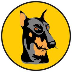 Doberman, color stencil portrait in the yellow circle
