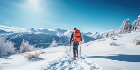 Fototapeta na wymiar Ski touring in alpine landscape