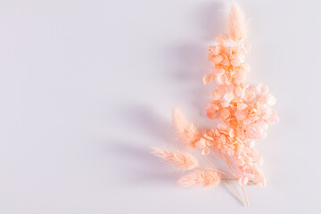 Branches of dried grass and peach blossom flowers in a bouquet on a white background with a copy...