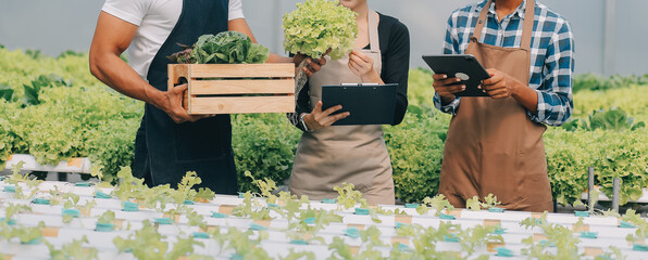 Young Asian woman and senior man farmer working together in organic hydroponic salad vegetable farm. Modern vegetable garden owner using digital tablet inspect quality of lettuce in greenhouse garden.