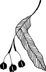 Hand drawn elements illustration