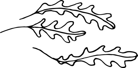 Retro Illustration Nature Element