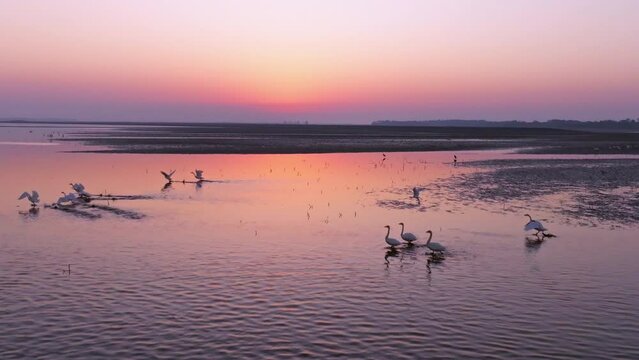 Scenery of Poyang Lake in Jiangxi, China, a paradise for migratory birds