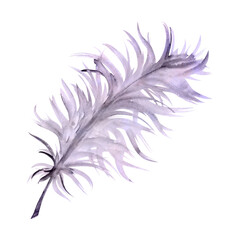 Obraz premium Hand drawn watercolor Mardi Gras carnival symbols. Bird feather quill plumage, violet purple lilac. Single object isolated on white background. Design party invitation, print, shop, wedding, costume