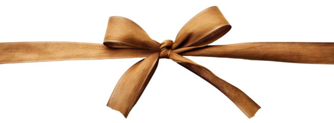 Stylish brown fabric bow, cut out