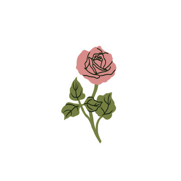 Flat vector rose flower illustration