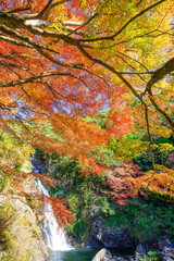 秋の見帰りの滝　佐賀県唐津市　Autumn Mikaeri Waterfall. Saga Pref, Karatsu City.