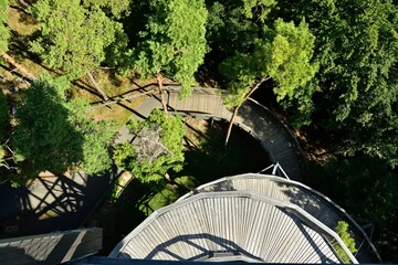 Iron construction of a walkway for tourists above the treetops