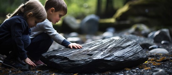 Child exploring dark grey shale slate natural rock fossil in forest with family. - obrazy, fototapety, plakaty
