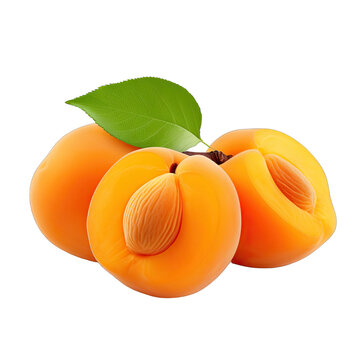 Apricot photograph isolated on white background