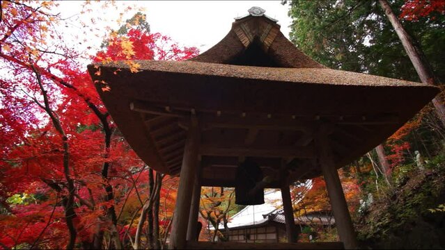 秋の延寿禅寺 （滋賀県彦根市, 2023年12月）