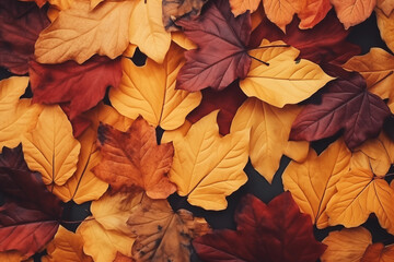 a close up image presenting a pattern of autumn leaves, warm color palette, autumn vibe and style