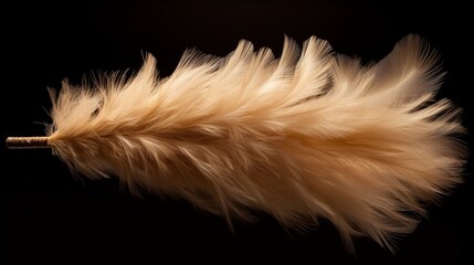 A feather duster, its fine bristles creating a soft haze.