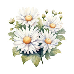Watercolor Classic Valentine Clipart, white daisies Arrange them in the shape of a heart , Ai Generate