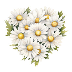 Watercolor Classic Valentine Clipart, white daisies Arrange them in the shape of a heart , Ai Generate