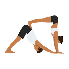 Young couple doing acroyoga, yoga with partner, double downward facing dog yoga pose, adho mukha svanasana. Flat vector illustration isolated on white background