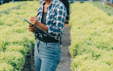 Two Asian farmers inspecting the quality of organic vegetables grown using hydroponics.