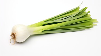 A pristine leek, its green and white gradients capturing attention, isolated on a clean white scene.