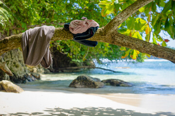 Clothes on a branch in Jamaica