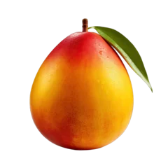 Foto op Canvas Mango Steen Fruit photograph isolated on white background © Herlita