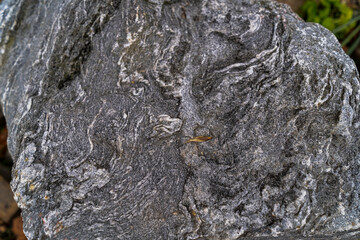 close up of decorative granite boulder with veins and cracks