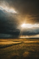 Beautiful plains, fields illuminated by sunset light and dark rain clouds in the sky. Landscape, environment, nature concepts.
