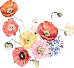 Watercolor Bouquet with Icelandic Poppies, Anthurium and Agapanthus