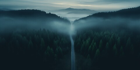 Aerial top view mountain road in dark green foggy forest