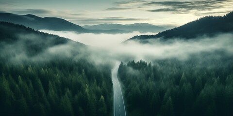 Aerial top view mountain road in dark green foggy forest - obrazy, fototapety, plakaty