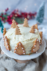 sweet home made christmas gingerbread cake
