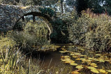 Petit pont