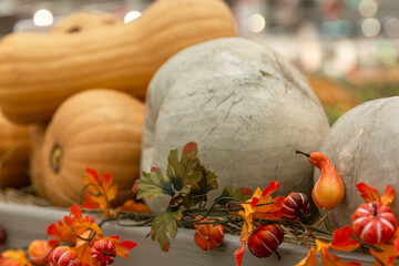 Assortment of pumpkins of different colors and sizes in the store. Selective focus. Close-up.