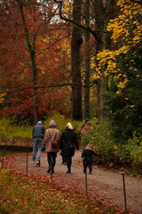 Fototapeta premium Vibrant and tranquil nature in Denmark