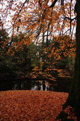 Vibrant and tranquil nature in Denmark