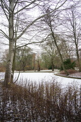 Vibrant and tranquil nature in Denmark