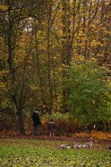 Vibrant and tranquil nature in Denmark